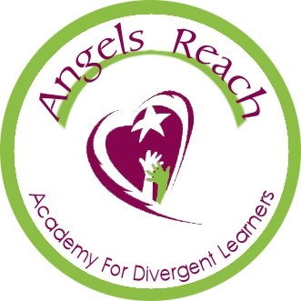 emblem reach angels academy ibiley only detail